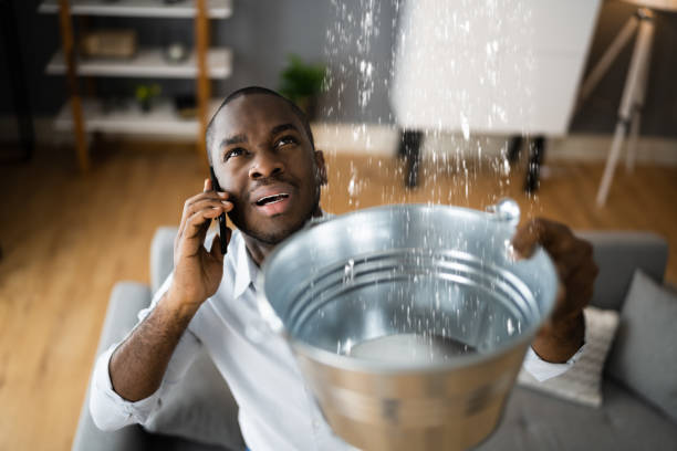 Best Water damage restoration near me  in Elko New Market, MN