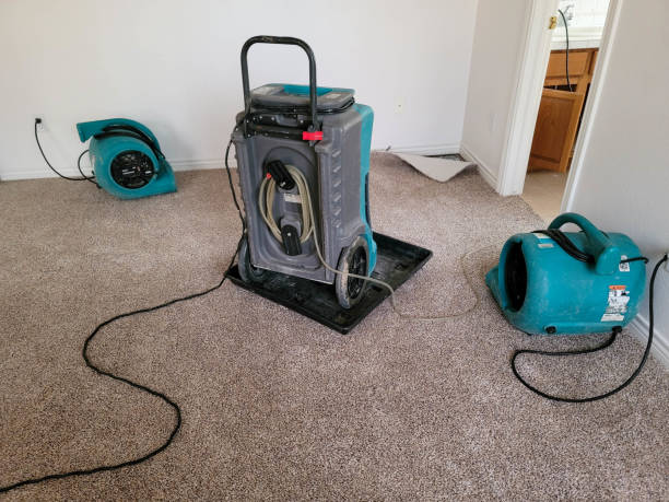 Best Mold removal after water damage  in Elko New Market, MN
