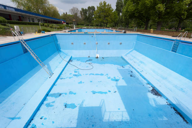 Best Professional water damage repair  in Elko New Market, MN