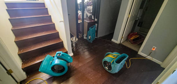 Best Ceiling water damage repair  in Elko New Market, MN