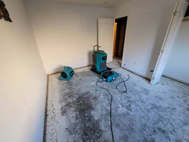 Best Water damage contractors near me  in Elko New Market, MN