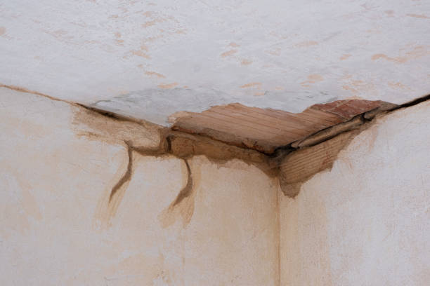Professional Water damage restoration in MN