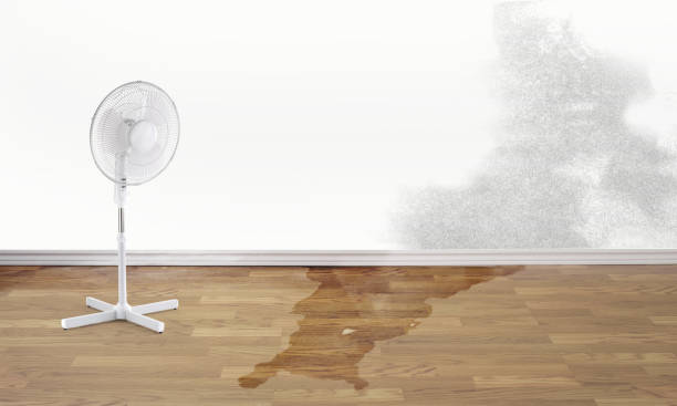 Best Residential water damage restoration  in Elko New Market, MN