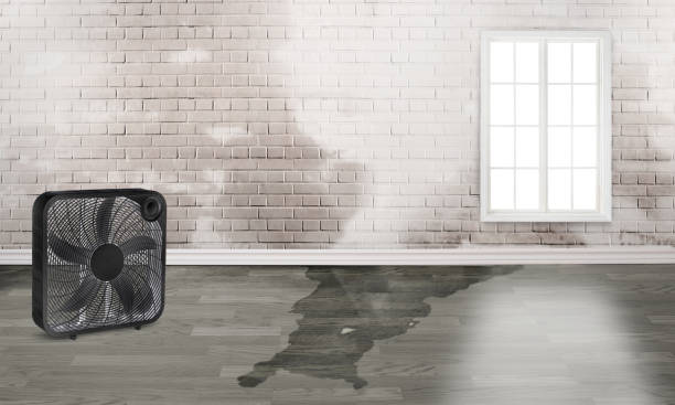 Best Fire Damage Restoration  in Elko New Market, MN