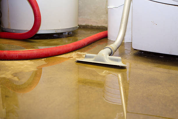 Best 24/7 water damage repair  in Elko New Market, MN
