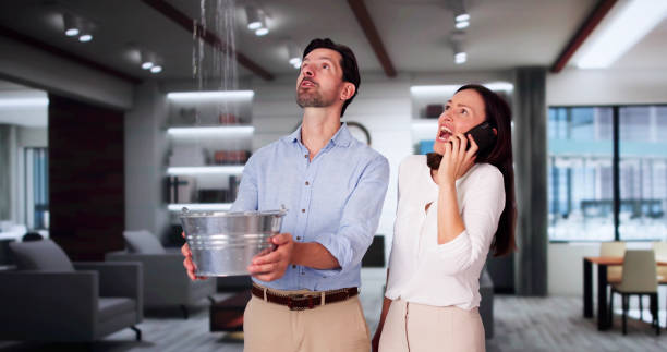 Best Water damage repair service  in Elko New Market, MN